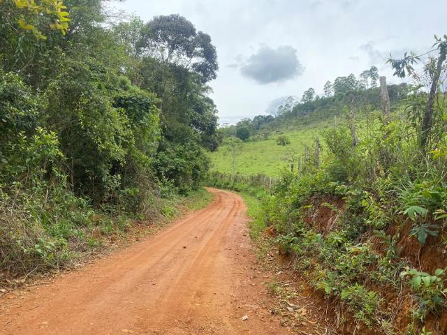 Sítio / Chácara para Venda em Itaverava/MG Zona Rural
