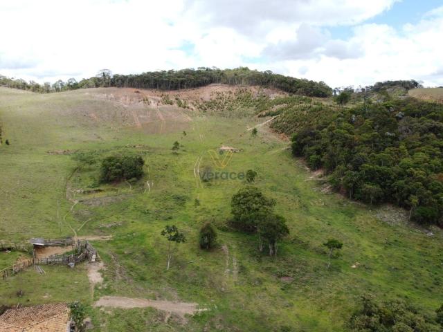 Sítio / Chácara para Venda em Itaverava/MG Zona Rural 3 Quartos