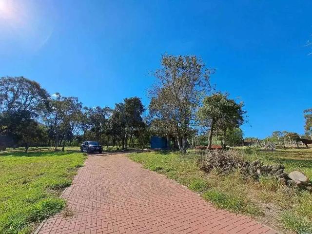 Sítio / Chácara para Venda em Itirapina/SP Ubá 1 Quartos