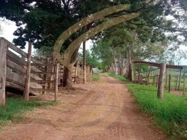 Sítio / Chácara para Venda em Itobi/SP Zona Rural 10 Quartos