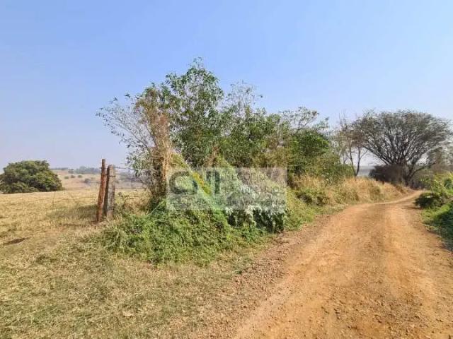 Sítio / Chácara para Venda em Ivaiporã/PR Zona Rural 1 Quartos