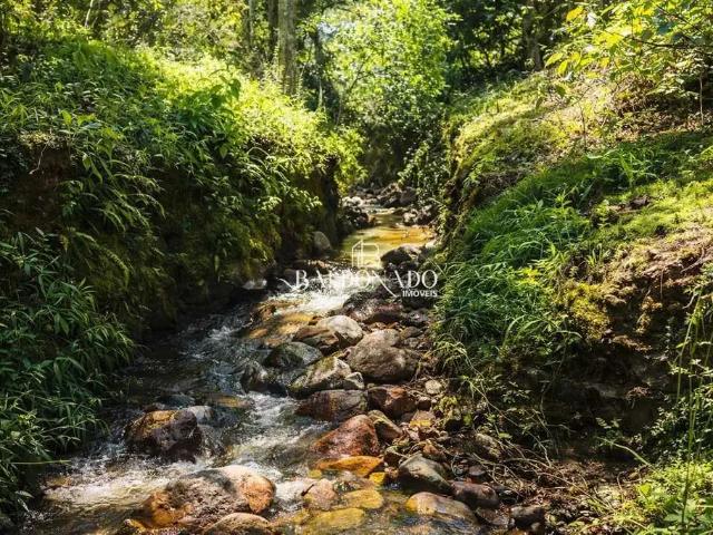 Sítio / Chácara para Venda em Joanópolis/SP Centro