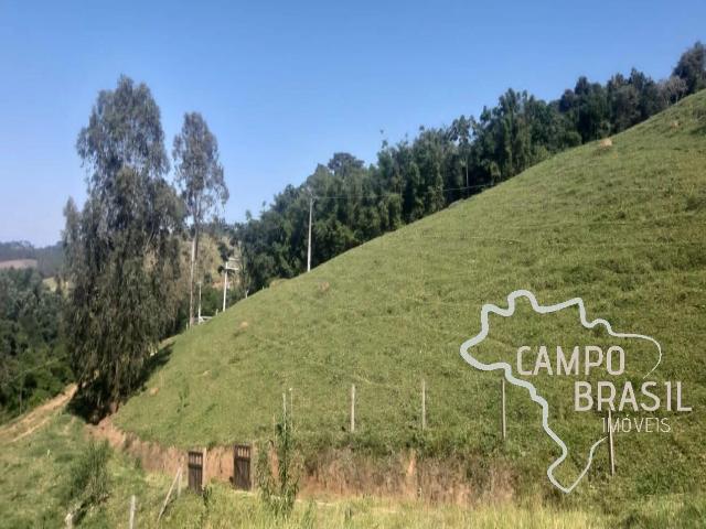 Sítio / Chácara para Venda em Joanópolis/SP Centro 3 Quartos