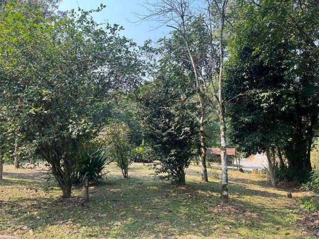 Sítio / Chácara para Venda em Joinville/SC Nova Brasília