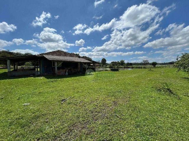 Sítio / Chácara para Venda em Joinville/SC Vila Nova 1 Quartos