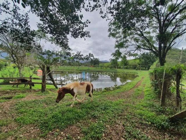 Sítio / Chácara para Venda em Joinville/SC Vila Nova 4 Quartos