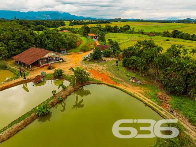 Sítio / Chácara para Venda em Joinville/SC Vila Nova 5 Quartos