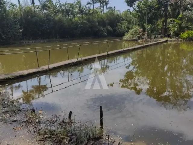 Sítio / Chácara para Venda em Joinville/SC Vila Nova