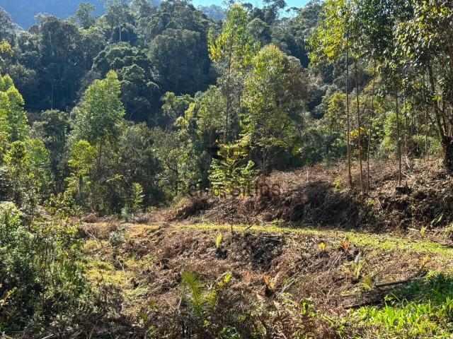 Sítio / Chácara para Venda em José Boiteux/SC Centro