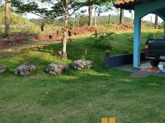 Sítio / Chácara para Venda em Jataizinho/PR Centro 1 Quartos