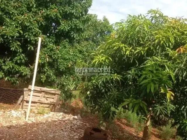 Sítio / Chácara para Venda em Jataizinho/PR Centro