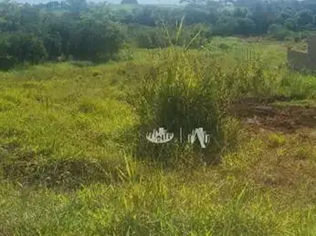 Sítio / Chácara para Venda em Jataizinho/PR Centro