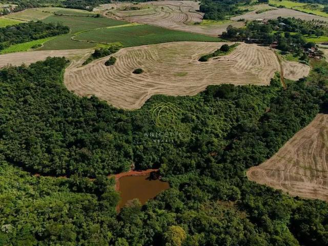 Sítio / Chácara para Venda em Jataizinho/PR Zona Rural 3 Quartos