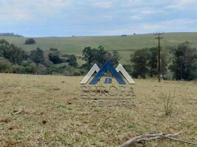 Sítio / Chácara para Venda em Jataizinho/PR Zona Rural 3 Quartos