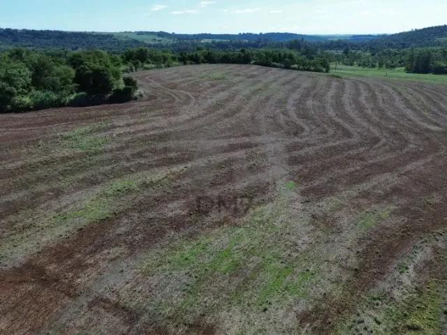 Sítio / Chácara para Venda em Jataizinho/PR Zona Rural 10 Quartos