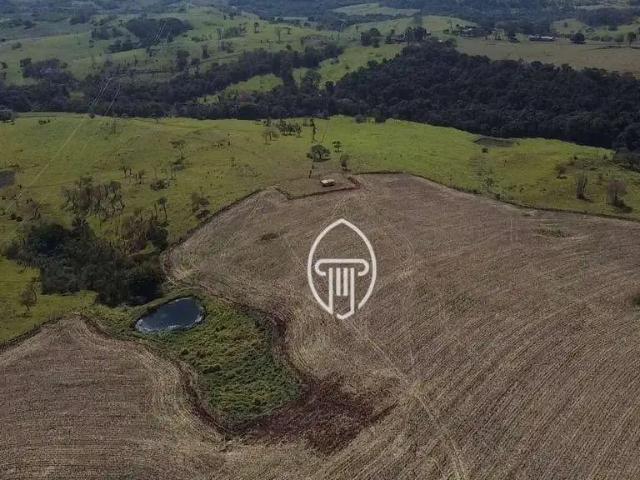 Sítio / Chácara para Venda em Jataizinho/PR Zona Rural