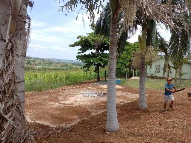 Sítio / Chácara para Venda em Jataizinho/PR Zona Rural 2 Quartos