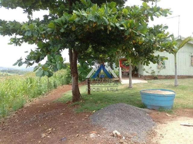 Sítio / Chácara para Venda em Jataizinho/PR Zona Rural 2 Quartos
