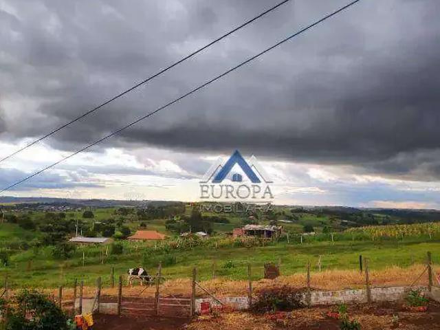 Sítio / Chácara para Venda em Jataizinho/PR Zona Rural 2 Quartos