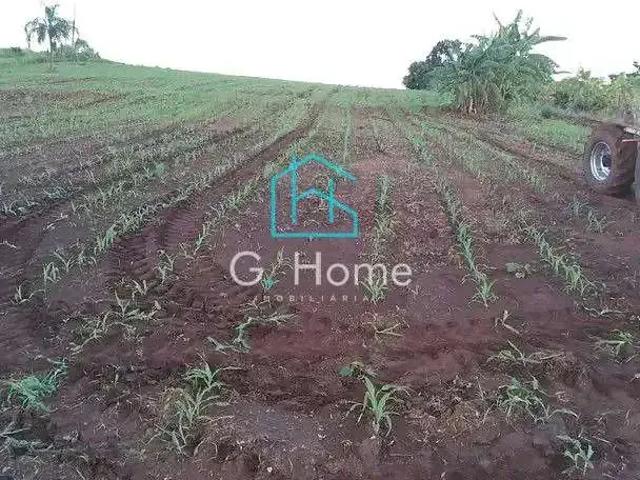 Sítio / Chácara para Venda em Jataizinho/PR Zona Rural 2 Quartos