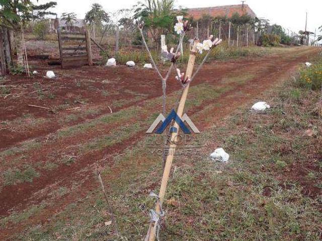Sítio / Chácara para Venda em Jataizinho/PR Zona Rural 2 Quartos
