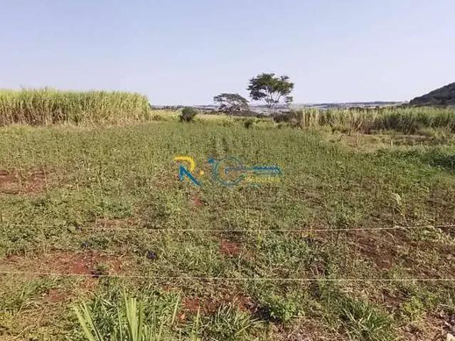 Sítio / Chácara para Venda em Jataizinho/PR Zona Rural