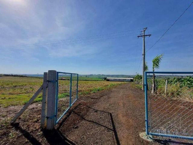 Sítio / Chácara para Venda em Jataizinho/PR Zona Rural