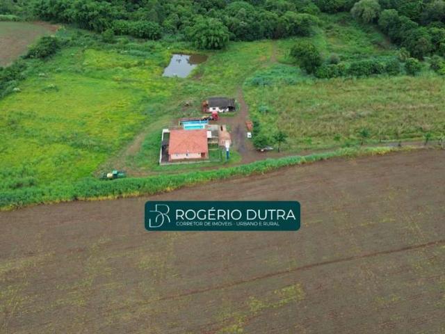 Sítio / Chácara para Venda em Jataizinho/PR Zona Rural 4 Quartos
