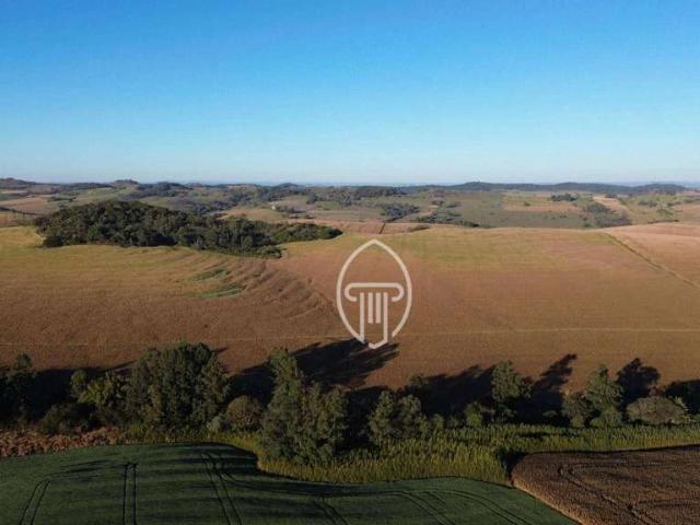 Sítio / Chácara para Venda em Jataizinho/PR Zona Rural