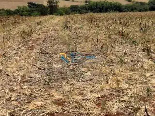 Sítio / Chácara para Venda em Jataizinho/PR Zona Rural