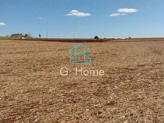 Sítio / Chácara para Venda em Jataizinho/PR Zona Rural