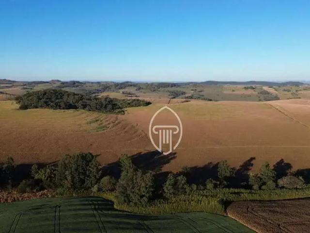 Sítio / Chácara para Venda em Jataizinho/PR Zona Rural