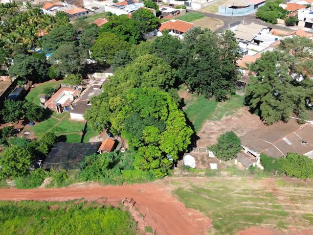Sítio / Chácara para Venda em Jaboticabal/SP Jardim Nova Aparecida 4 Quartos