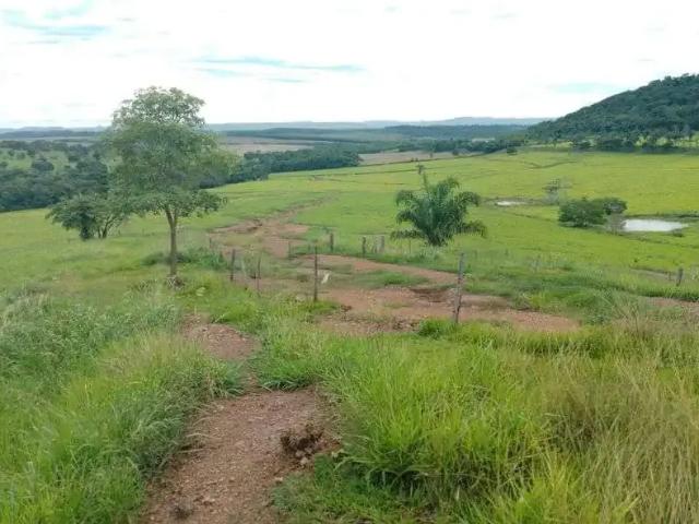 Sítio / Chácara para Venda em Jaciara/MT Centro 5 Quartos