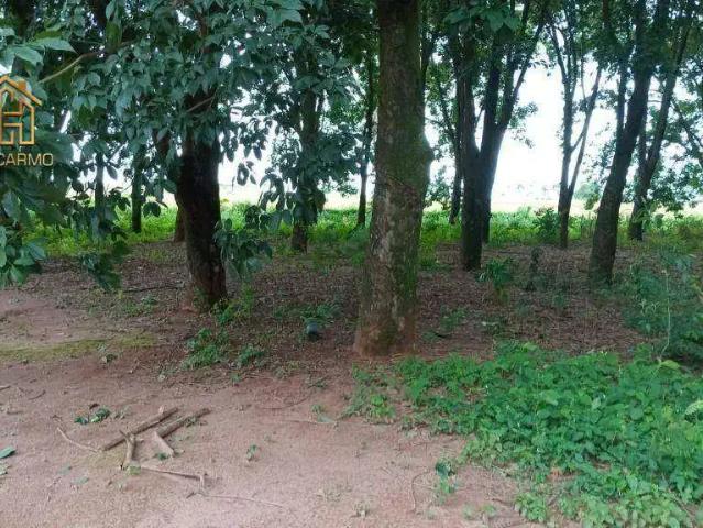 Sítio / Chácara para Venda em Jaci/SP Zona Rural 2 Quartos