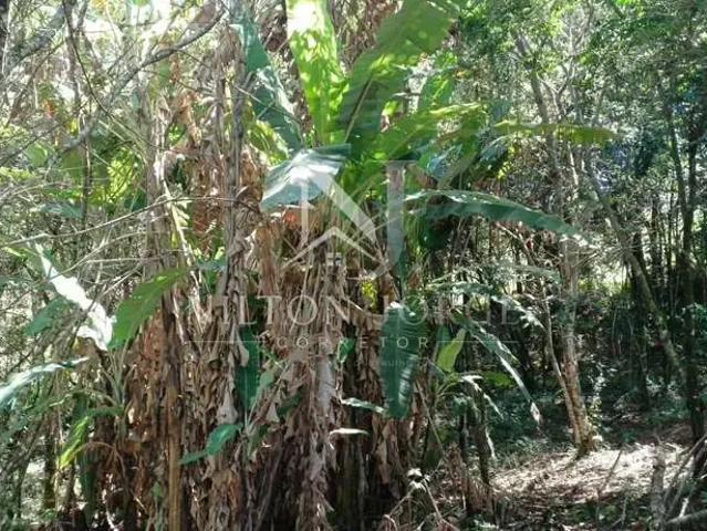 Sítio / Chácara para Venda em Jacutinga/MG São Sebastião dos Robertos 1 Quartos