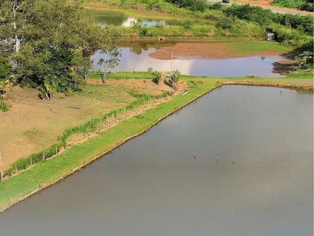 Sítio / Chácara para Venda em Jacutinga/MG Zona Rural 4 Quartos