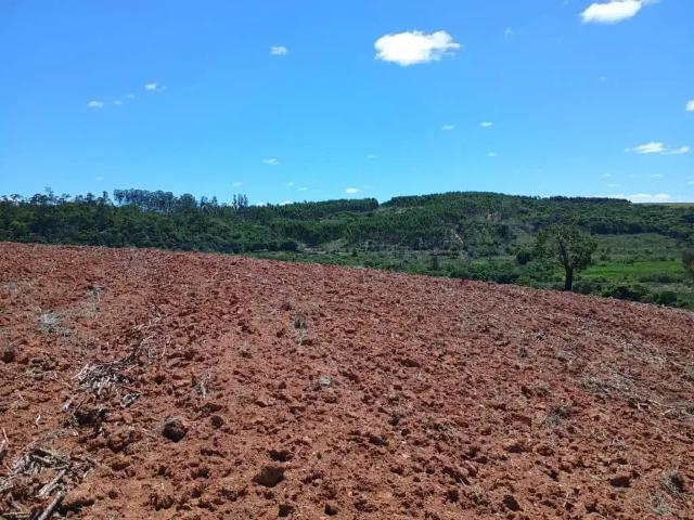 Sítio / Chácara para Venda em Jacutinga/MG Zona Rural
