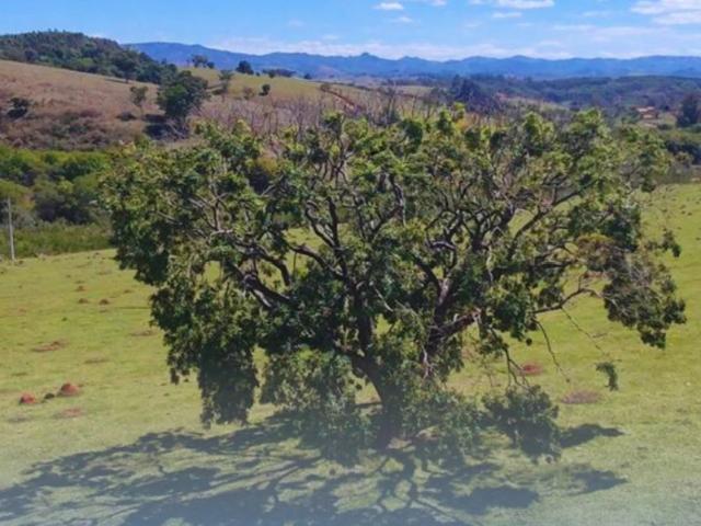 Sítio / Chácara para Venda em Jacutinga/MG Zona Rural