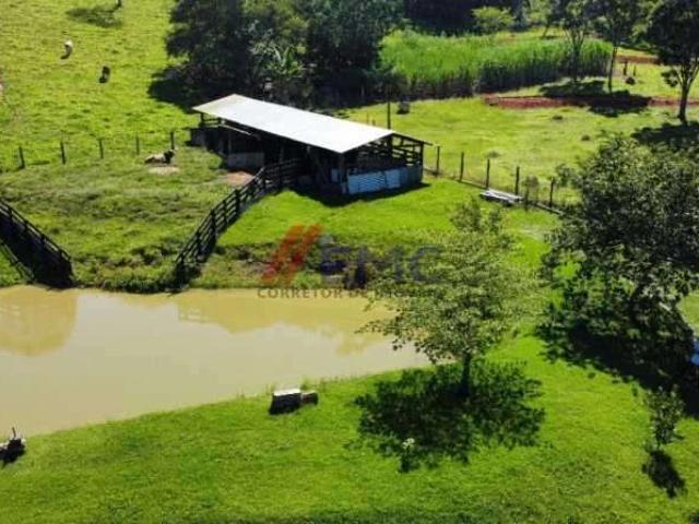 Sítio / Chácara para Venda em Jacutinga/MG Zona Rural