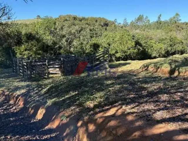 Sítio / Chácara para Venda em Jacutinga/MG Zona Rural