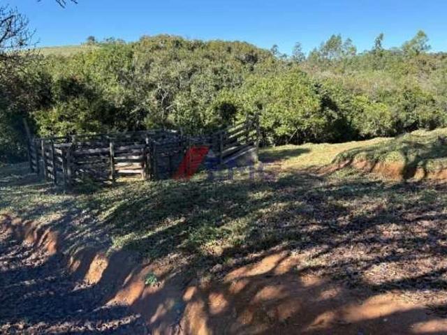 Sítio / Chácara para Venda em Jacutinga/MG Zona Rural