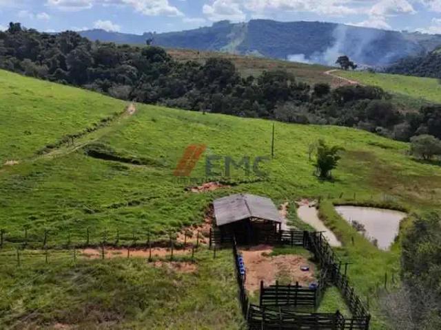 Sítio / Chácara para Venda em Jacutinga/MG Zona Rural