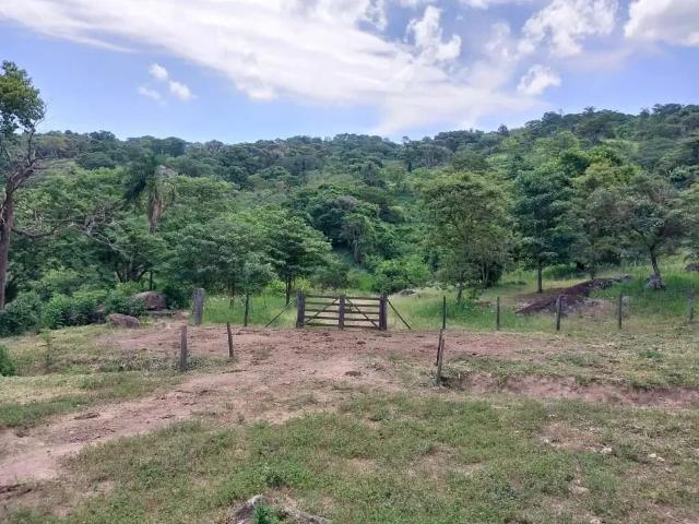 Sítio / Chácara para Venda em Jacutinga/MG Zona Rural