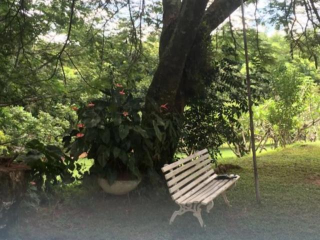Sítio / Chácara para Venda em Jacutinga/MG Zona Rural 3 Quartos