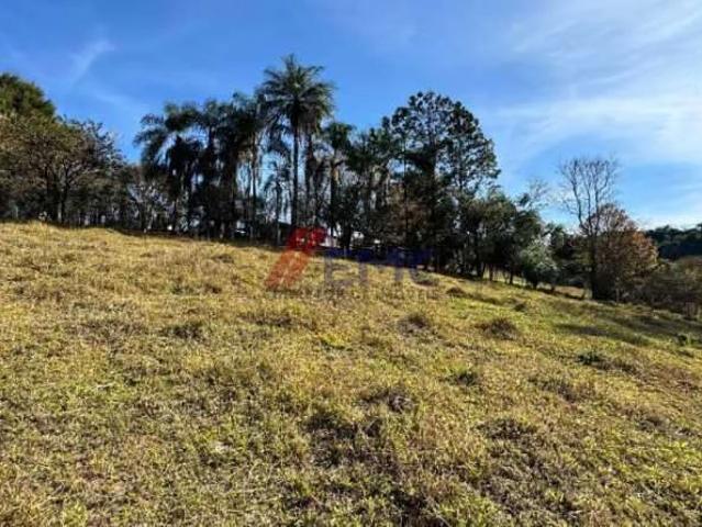 Sítio / Chácara para Venda em Jacutinga/MG Zona Rural 3 Quartos