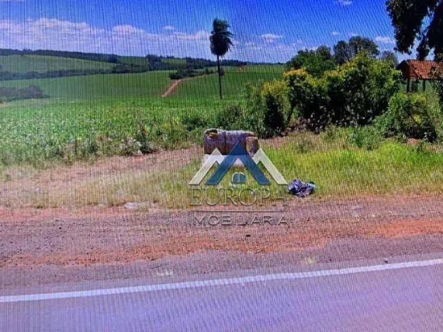 Sítio / Chácara para Venda em Jaguapitã/PR Zona Rural