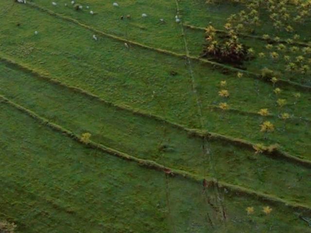 Sítio / Chácara para Venda em Jaguapitã/PR Zona Rural