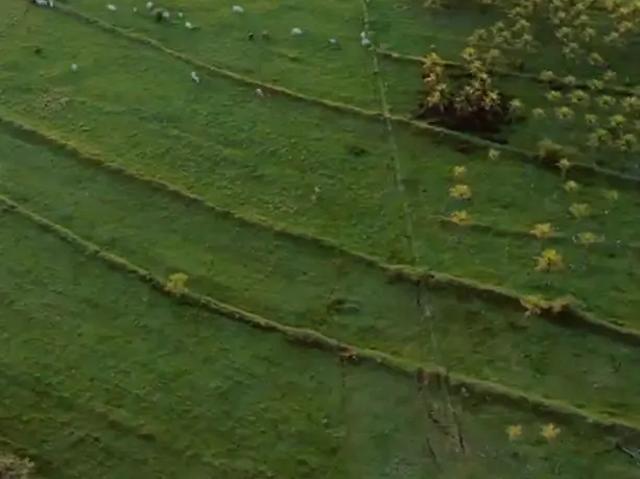 Sítio / Chácara para Venda em Jaguapitã/PR Zona Rural