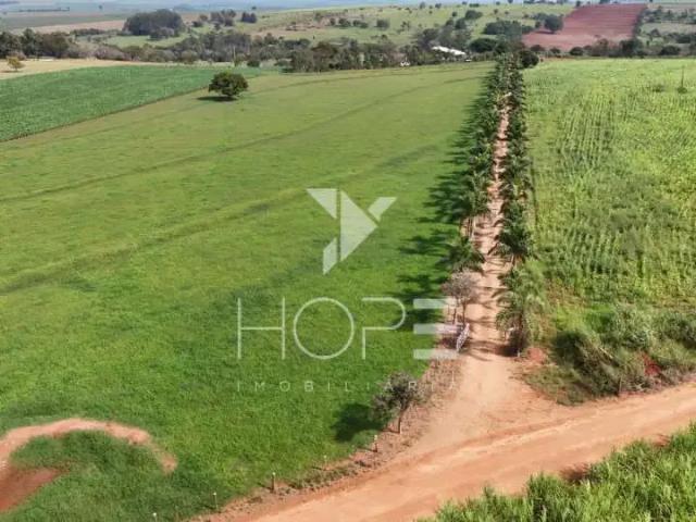 Sítio / Chácara para Venda em Jaguapitã/PR Zona Rural 3 Quartos